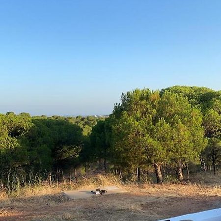 Finca Rustica Los Borrachos Ayamonte Exterior photo